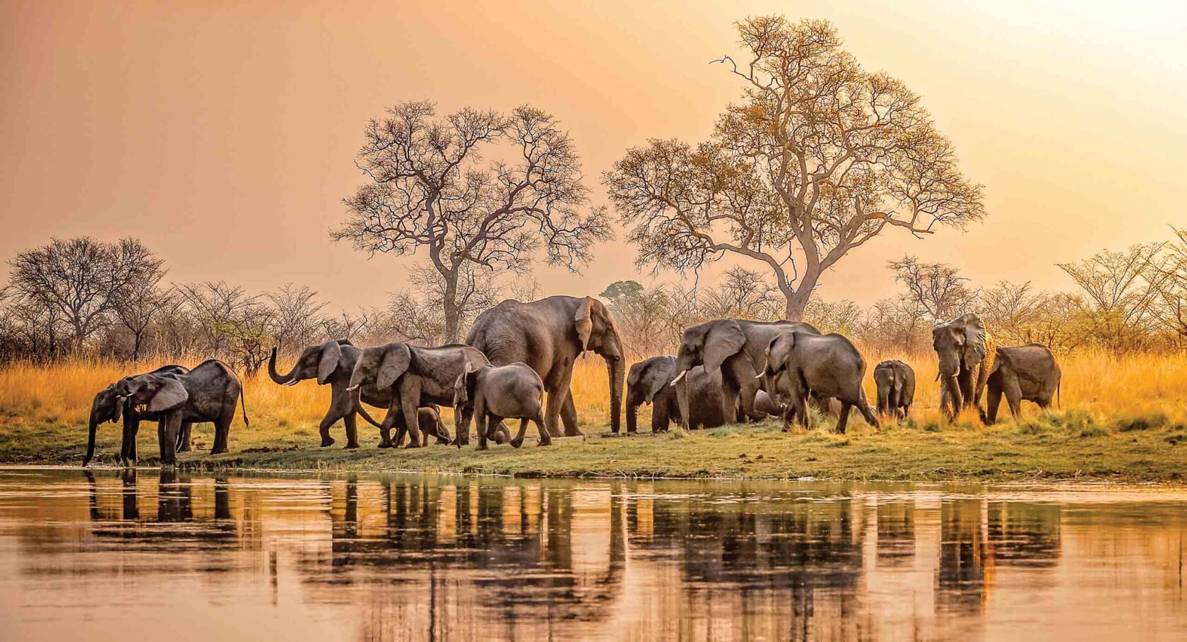 A landscape in Africa with elephants.