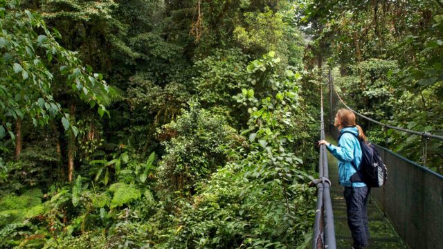 A traveler on a bridge in Costa Rica.