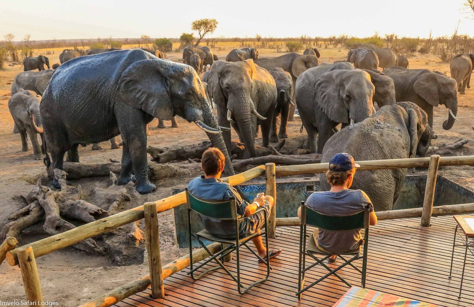 Two travelers observing elephants from Nehimba Lodge.