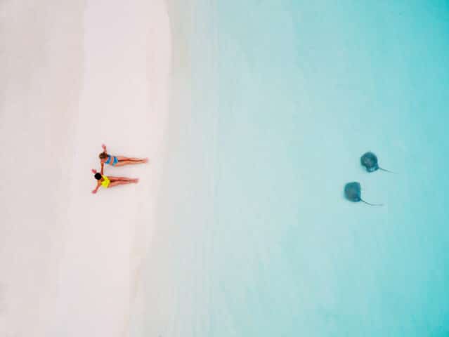 An aerial view of two people sitting on a beach and two manta rays underwater.