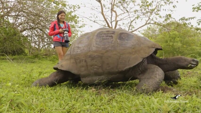 A tourist observing a tortoise.