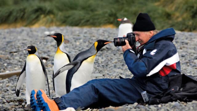 A photographer taking photos of penguins in Georgia.