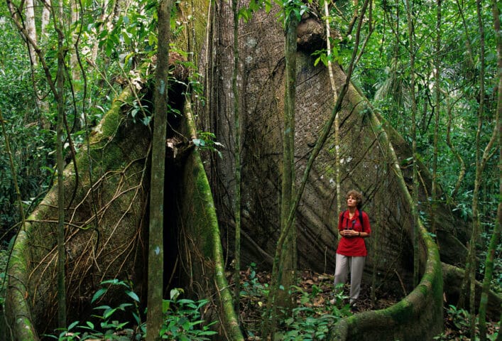 Woman and buttressed rainforest tree, Cano Negro Reserve, Costa Rica. Image shot 2002. Exact date unknown.