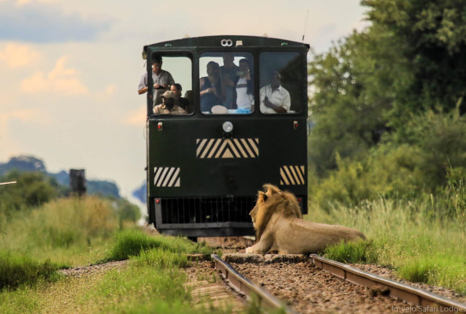 Tourists on the Elephant Express.