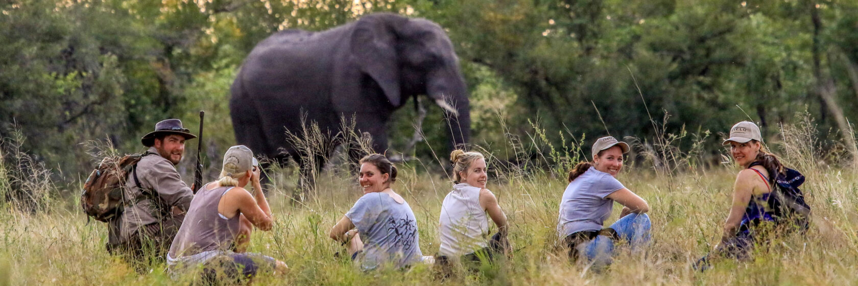 A group of travelers observing an elephant in the wild in Zimbabwe.